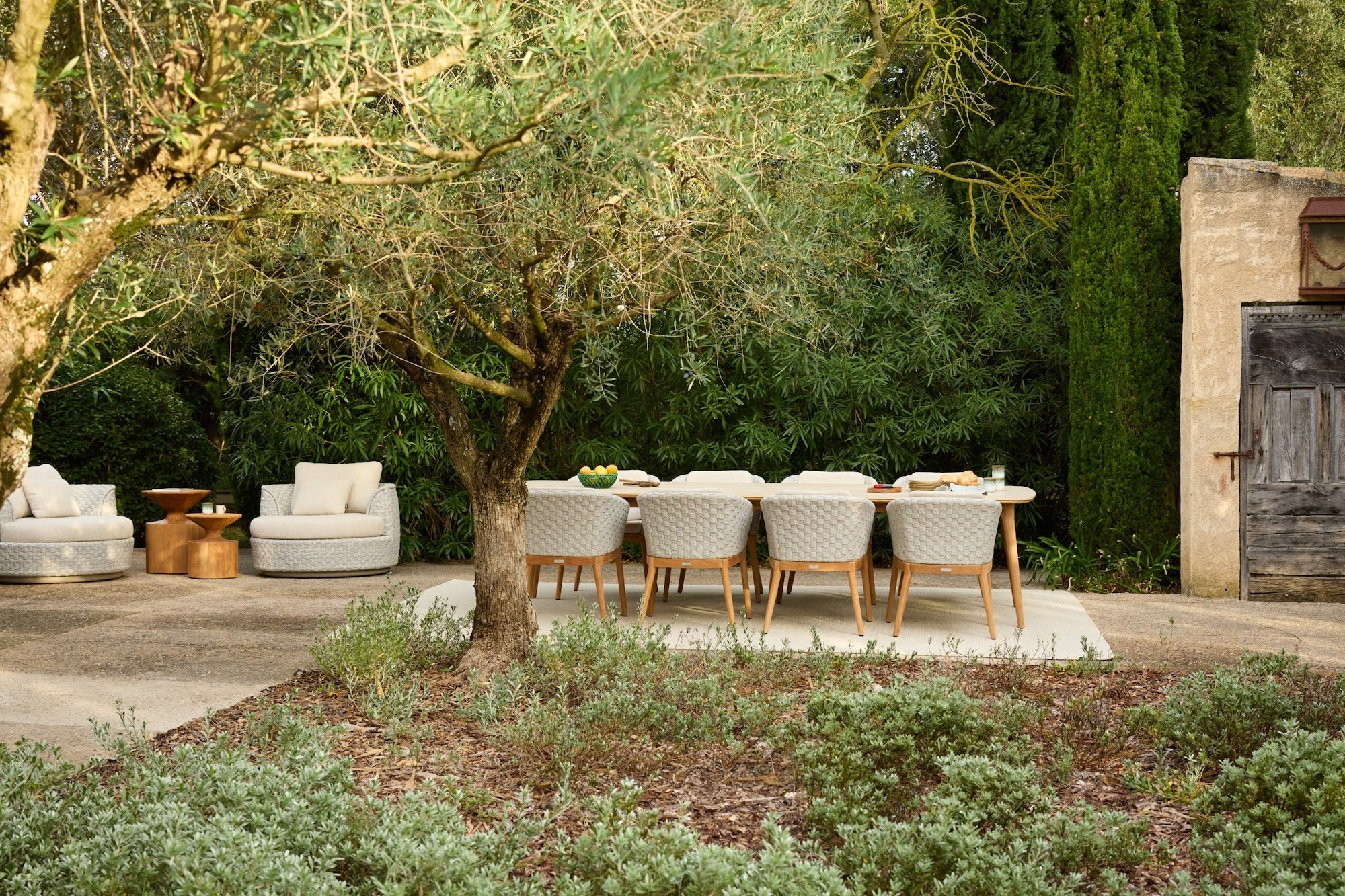 Jardinico | Tondo Dining Armchair