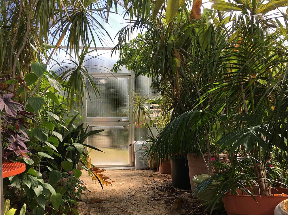 Exaco | RIGA XL 9 Greenhouse 14' x 29'6"