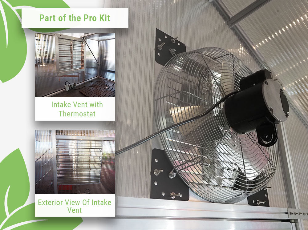 Exaco | RIGA XL 9 Greenhouse 14' x 29'6"